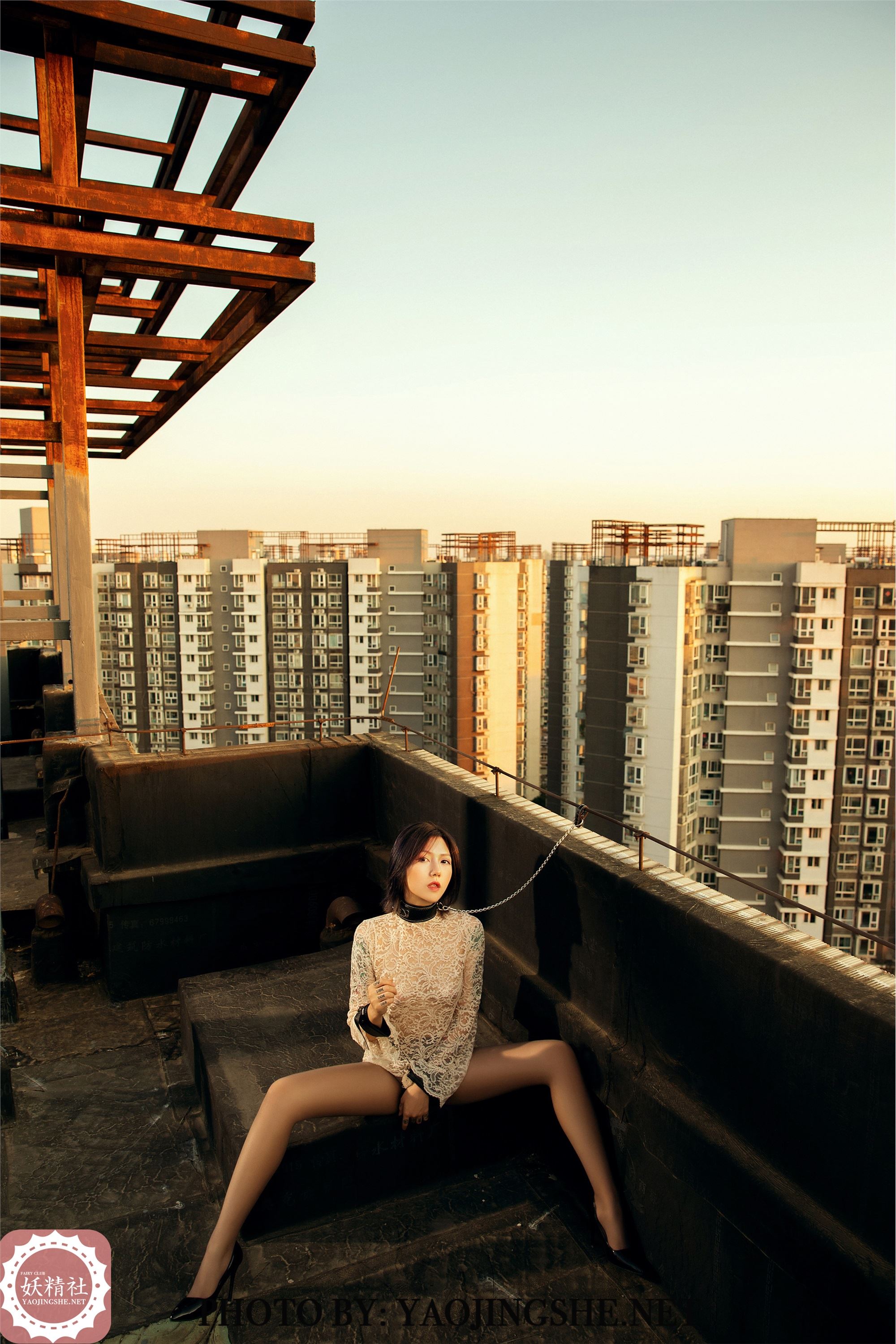 妖精社  2020.01.15 V2003 菊花 《谁困住了我的菊花》